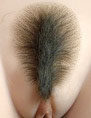 pubic hair patch - style 2